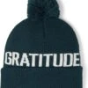 Spiritual Gangster Gratitude Pom-Pom Beanie -Quality Clothing Store 71dXsYuum8L. AC SR736920